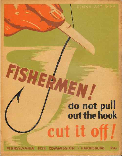 Unsuccessful fisherman with large group of fish ignoring fishing hook. -  Album alb4301450