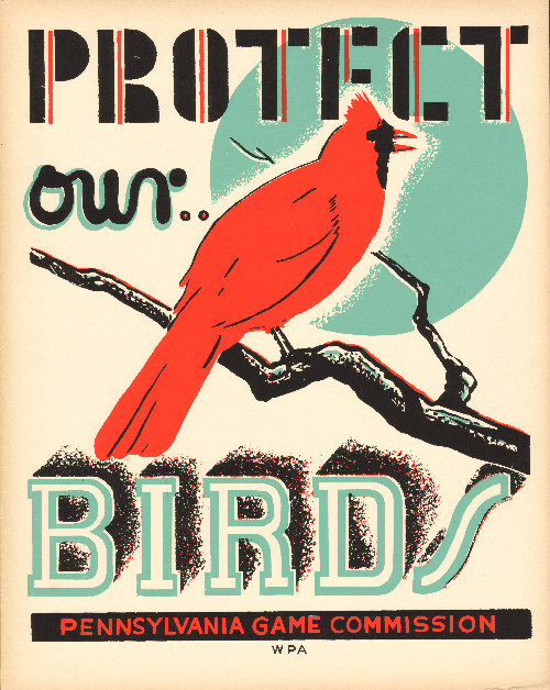 Protecting Birds & Wildlife